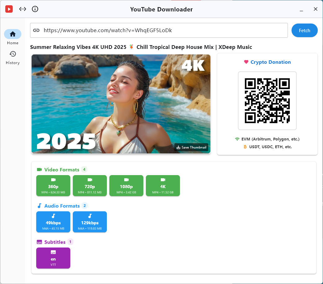 YouTube Video Downloader - Main Interface
